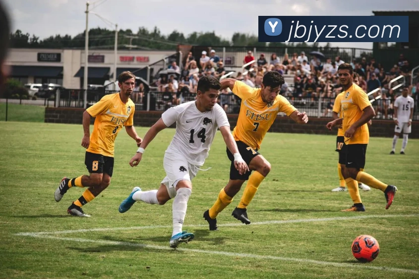 米兰平台生态图